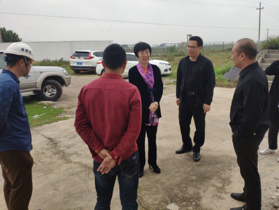 11辛紅梅視察項(xiàng)目。梁榮程 攝700.png